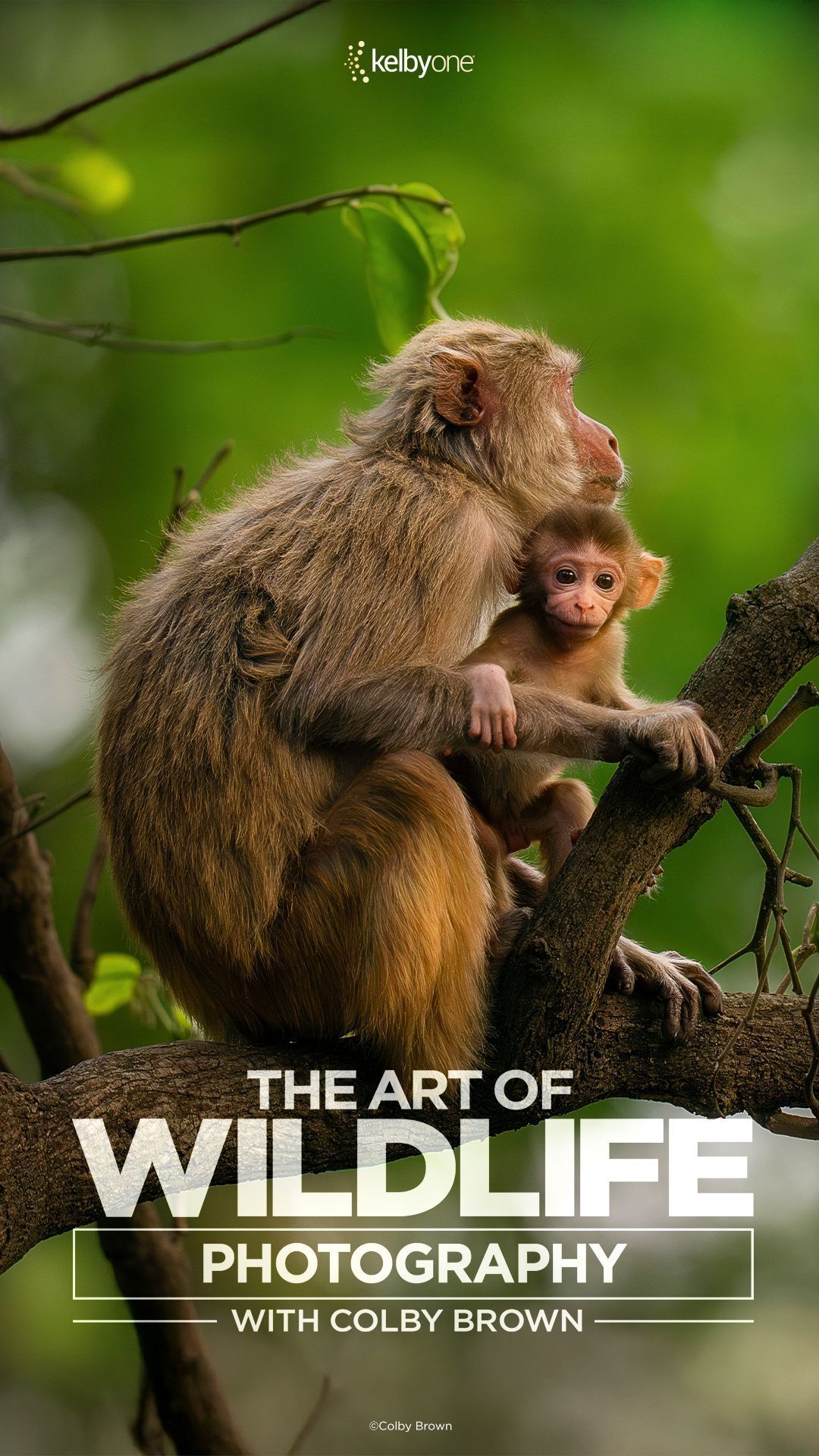 Documentary Nature IPTV UK